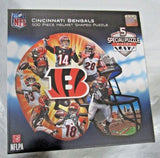 NFL Helmet Shaped 500 pc Jigsaw Puzzle by Masterpieces Puzzles Co