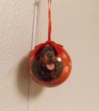Rottweiler Christmas Ornament Shatter Proof Ball 2.75" Diameter