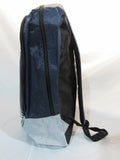 NFL Dallas Cowboys 2015 Stripe Core Logo Backpack by Forever Collectible (FOCO)