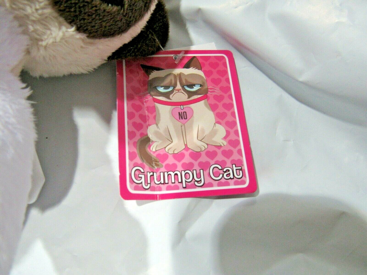 Grumpy Cat 10 inch Holding A Broken Heart by Grumpy Cat Limited