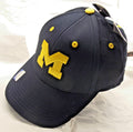 NCAA Michigan Wolverines Trucker Hat Hook and Loop Closure Collegiate Headwear
