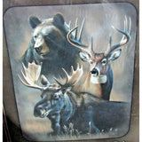 "DYNAMIC TRIO" Rebecca Latham and Cynthie Fisher Luxury Plush Blanket Queen