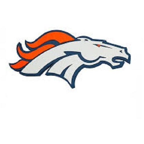NFL Fan Foam 3D Magnet by FanFave