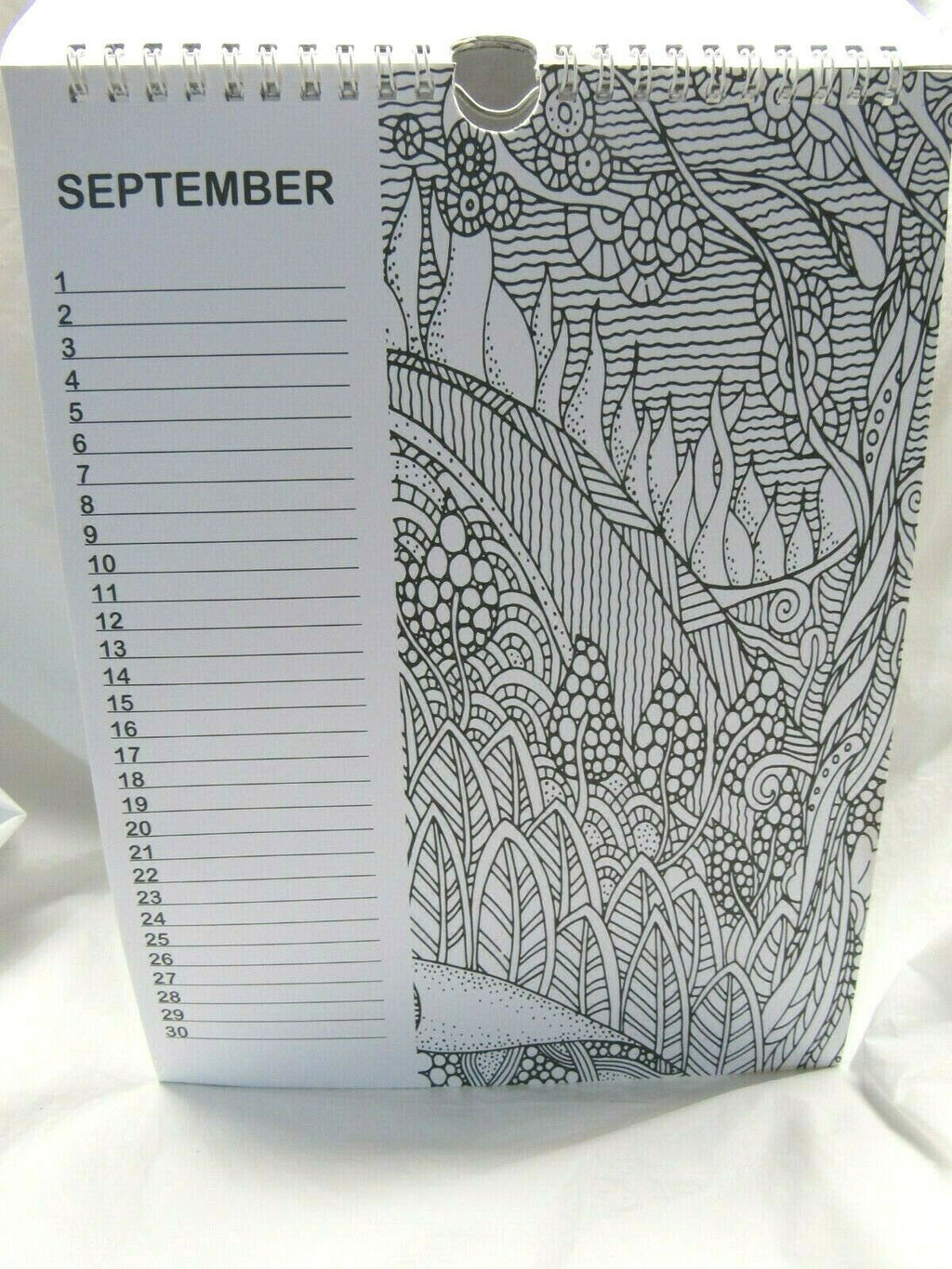 Grown Up Adult Coloring Book Monthly Calendar Calming art Therapy 12 Pages