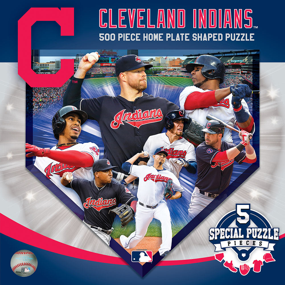 MLB Home Plate Shaped 500 pc Puzzle by Masterpieces Puzzles