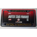 NCAA Michigan Wolverines Laser Cut Chrome License Plate Frame