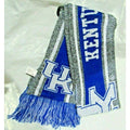 NCAA Kentucky Wildcats 2021 Gray Big Logo Scarf 64" by 7" by FOCO